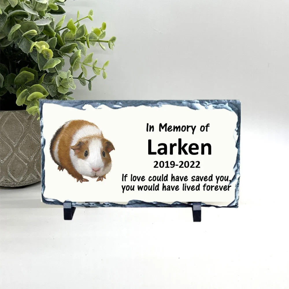 Guinea Pig Memorial – Personalized Pet Memorial Stone -Pet Loss Sympathy Gift