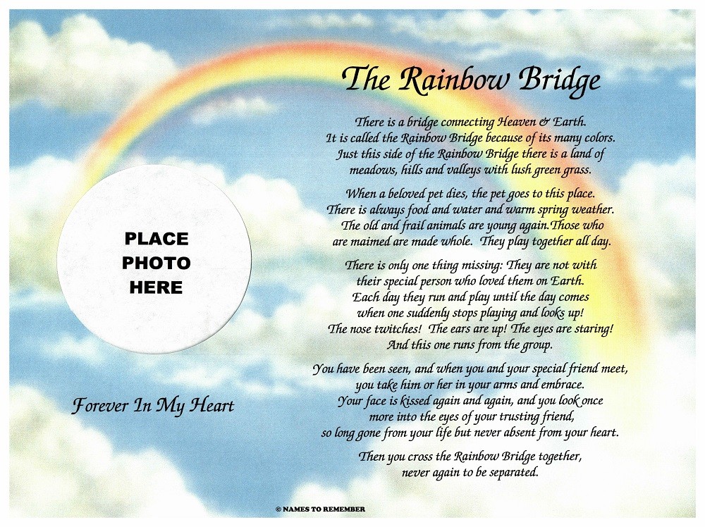 In Memory of Pet Rainbow Bridge Memorial Poem Sentimental Gift for Loss of Dog