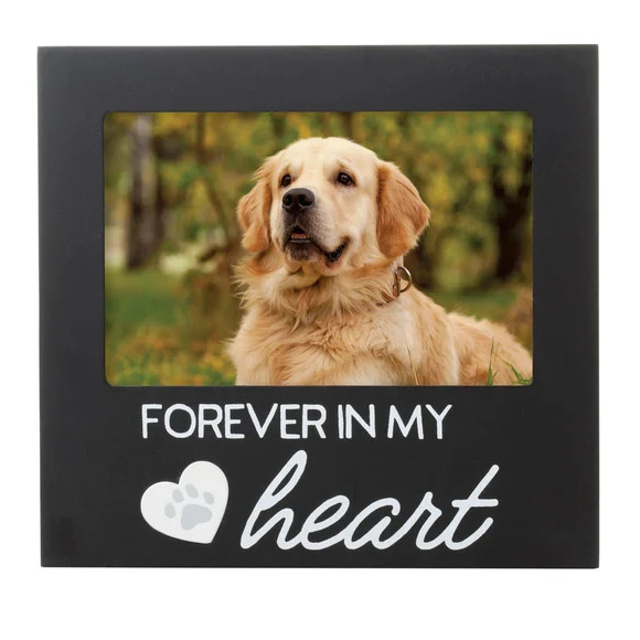 Pearhead Pet Forever In My Heart Memorial Keepsake Picture Frame, Color Varies