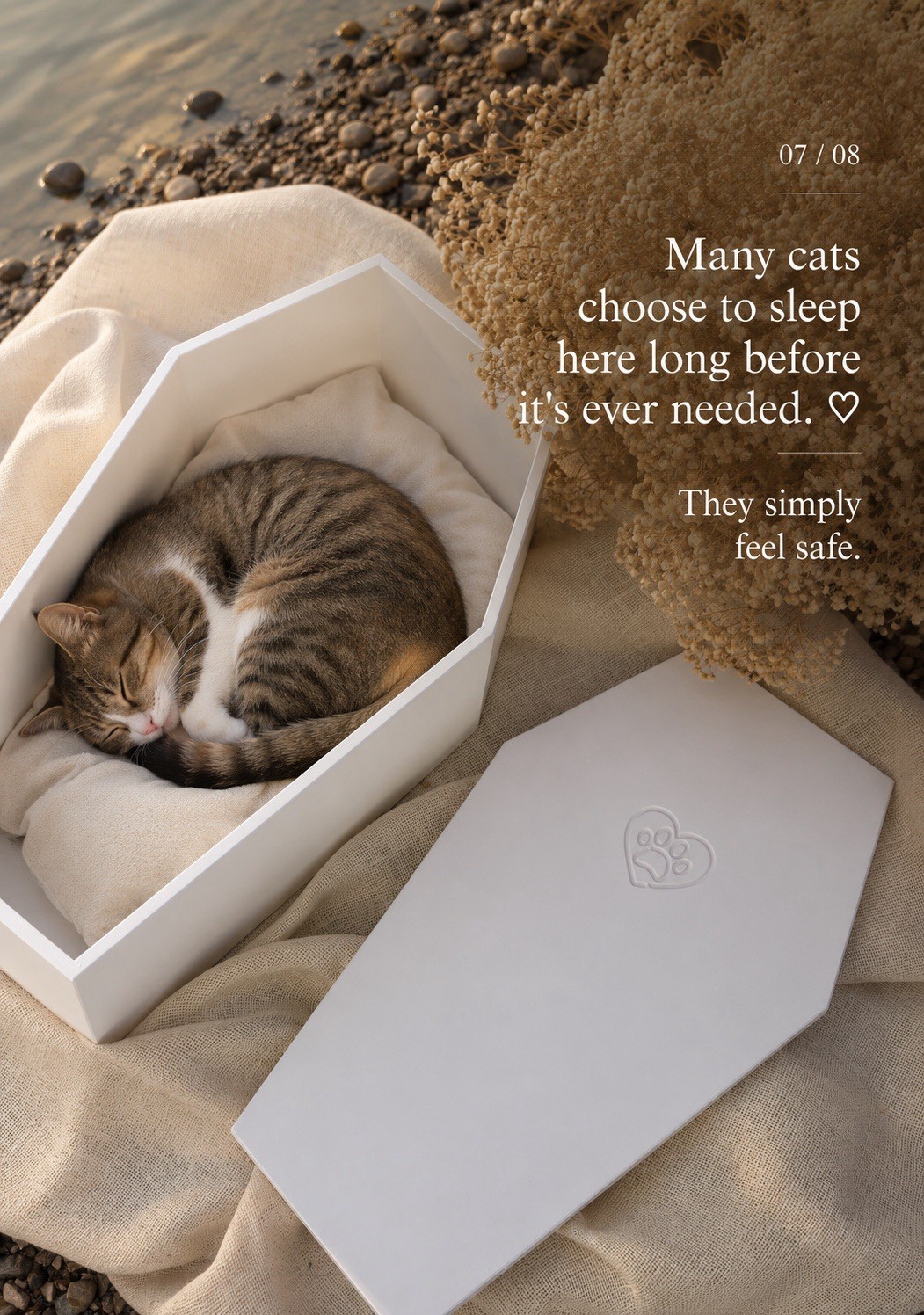 Cat Casket Coffin | Pet Memorial Burial Box Wood Handmade Kitten Cats 19.5 in