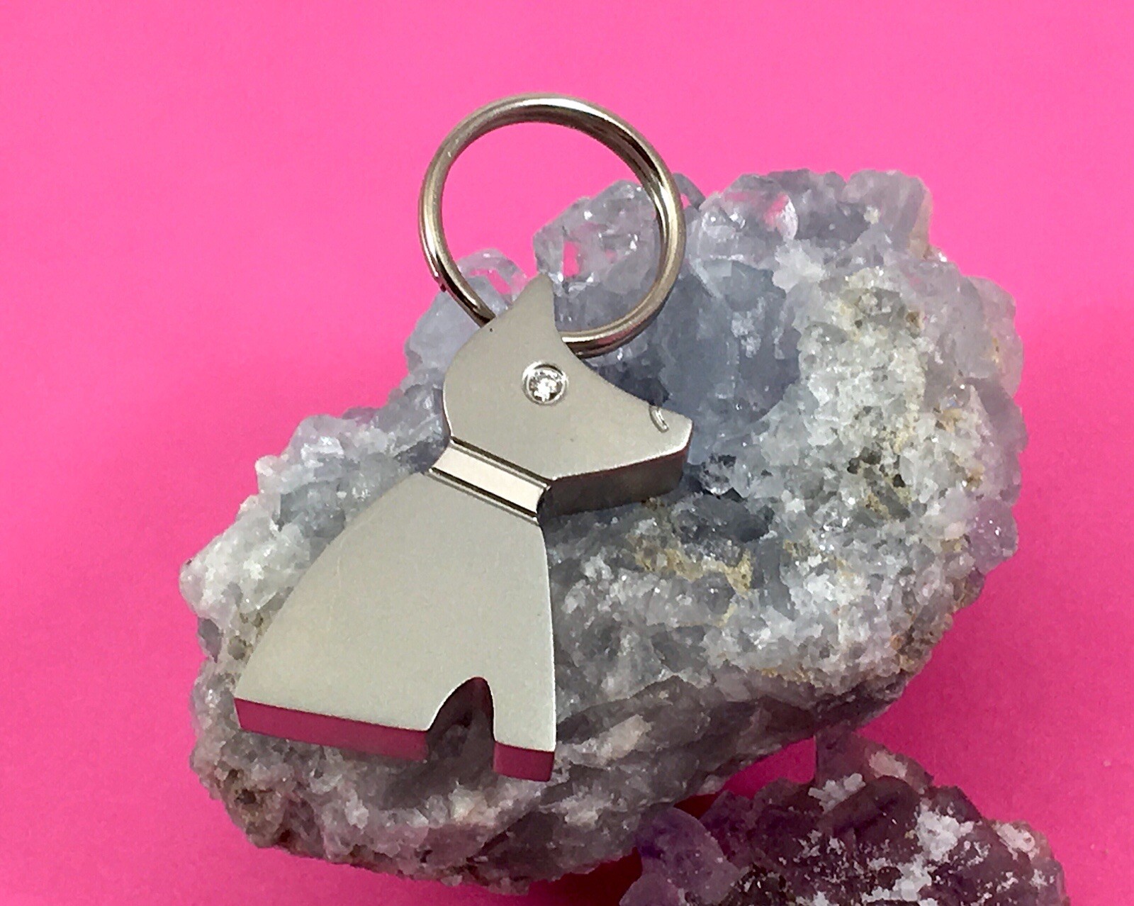 Dog Cremation Pendant Urn Keychain 1″ Key Ring for Ashes Crystal Eye Keyring