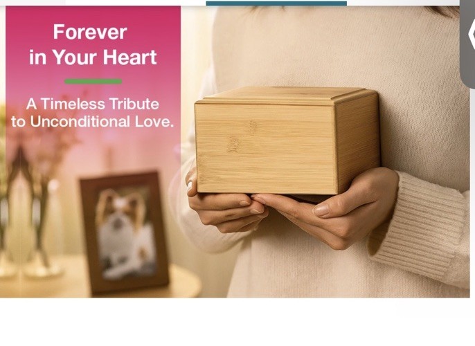 Silicute Pet Urn Wood Box 8x4x5 ashes cremation Bamboo Memorial Funeral Pets New